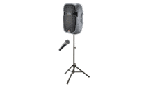 eon 15" speaker